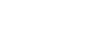 logo light